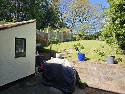 Picture 14